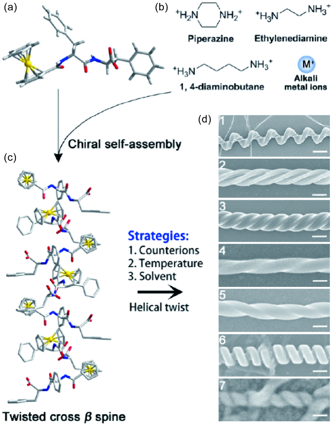 Controllable Assembly of Diphenylalanine Dipeptide Micro/Nano Structure  Assemblies and Their Applications