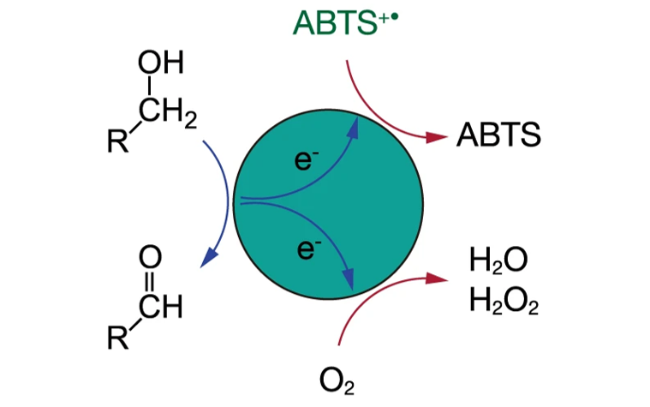 Nanozymes