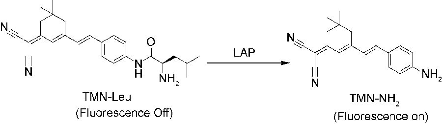 Detection of Metal Ions, Small Molecules and Large Molecules by 