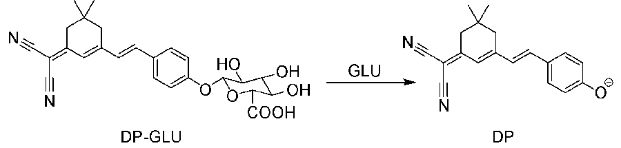 Detection of Metal Ions, Small Molecules and Large Molecules by 