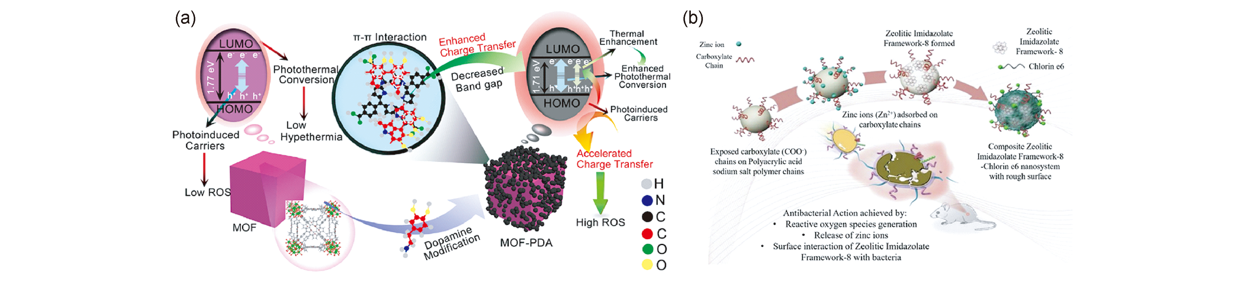 Advanced Oxidation Processes (AOPs) for Bacteria Removal over MOFs 