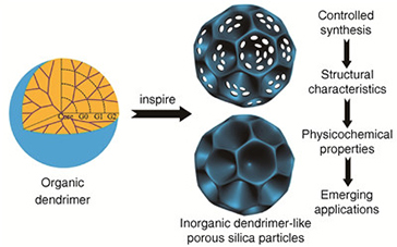 Different forms of silica nanoparticles based on (A) Structural